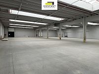 Pronájem skladu, výrobních prostor 11.000 m², Říčany u Prahy