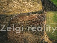 Litenčice: Prodej pozemků orné půdy, travního porostu a lesa 16677m2 - dji_fly_20240223_124702_340_1708688835673_photo.jpg