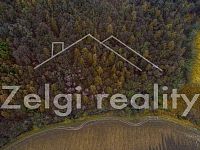 Litenčice: Prodej pozemků orné půdy, travního porostu a lesa 16677m2 - dji_fly_20240223_135220_354_1708692755370_photo.jpg