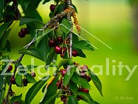 Starý Poddvorov, rodinný dům 3+kk, možnost nástavby - 4.jpg