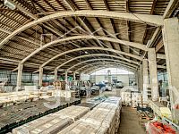 Podivín - Skladovací hala 500 m² -  D2 - _DSC6687-HDR.jpg