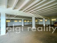 Nabízíme k pronájmu skladovací prostory 4x400 m² s kompletním paletovým servisem - 3min od D2 - _DSC6671-Enhanced-NR.jpg