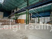 Skladovací prostory - Služby paletového pohybu -Brno Tuřanka - 784m2 - _DSC7457-HDR.jpg