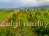 Stavební pozemek se sadem 5 384 m² – Vřesovice u Kyjova - DJI_0891-HDR-2.jpg