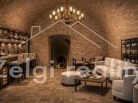 Apartmánový komplex s možností rozšíření kapacity o 40 % - d863900f-0fc7-4f89-be8e-d31fea39df76.jpg