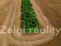 Prodej meruňkového sadu – 8 494 m², Zaječí