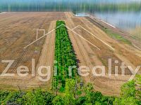 Prodej meruňkového sadu – 8 494 m², Zaječí