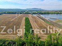 Prodej meruňkového sadu – 8 494 m², Zaječí