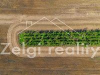 Prodej meruňkového sadu – 8 494 m², Zaječí - Dobrý nechat