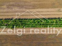 Prodej meruňkového sadu – 8 494 m², Zaječí - Dobrý nechat