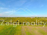 21,03 HA UCELENÉ PLOCHY: Rovinatý sad s vodním zdrojem, okres Břeclav - DJI_0765-HDR.jpg