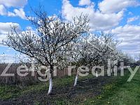 Prodej ovocného komplexu 21 ha – Rakvice - 1000016105.jpg