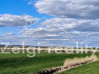 Prodej ovocného komplexu 21 ha – Rakvice - 1000016123.jpg