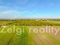 Soubor sadů - Rakvice - 210 277 m² - 21ha - DJI_0768-HDR.jpg