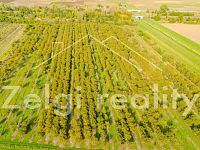 Soubor sadů - Rakvice - 210 277 m² - 21ha