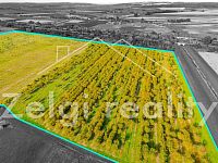 Soubor sadů - Rakvice - 210 277 m² - 21ha - DJI_0777-HDR.jpg