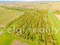 Soubor sadů - Rakvice - 210 277 m² - 21ha - DJI_0777-HDR.jpg