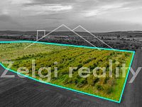 Soubor sadů - Rakvice - 210 277 m² - 21ha - DJI_0804-HDR.jpg