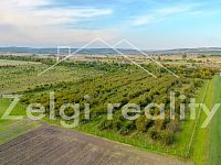 Soubor sadů - Rakvice - 210 277 m² - 21ha - DJI_0804-HDR.jpg