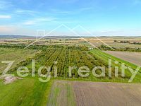 Soubor sadů - Rakvice - 210 277 m² - 21ha - DJI_0807-HDR.jpg