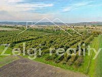 Soubor sadů - Rakvice - 210 277 m² - 21ha