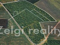 Rozsáhlé zemědělské pozemky 24,6 ha – výnosné sady a rychlerostoucí topoly