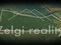 Rozsáhlé zemědělské pozemky 24,6 ha – výnosné sady a rychlerostoucí topoly - Parcela 2