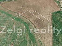 Rozsáhlé zemědělské pozemky 24,6 ha – výnosné sady a rychlerostoucí topoly - Parcela 3