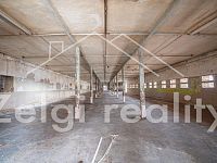 Pronájem komerčního objektu v Miloticích 994 m2 - možnost úpravy podle představ - 17.jpg