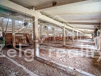 Pronájem komerčního objektu v Miloticích 1100 m2 - možnost úpravy podle vašich představ - 28.jpg