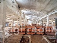 Pronájem komerčního objektu v Miloticích 1100 m2 - možnost úpravy podle vašich představ - 29.jpg