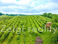 Polom - Jabloňový sad 9760m² s zahradním domkem na prodej - DJI_0869-HDR.jpg
