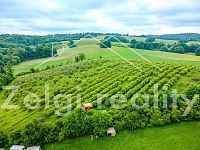 Polom - Jabloňový sad 9760m² s zahradním domkem na prodej - DJI_0875-HDR.jpg