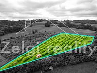 Polom - Jabloňový sad 9760m² s zahradním domkem na prodej - DJI_0880-HDR.jpg