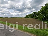 Komerční pozemek 14 000 m² pro výrobu a podnikání | Hrušovany nad Jevišovkou - 9dc5d2af-79a9-45e5-b4df-f9b483bfa1e9.jpg