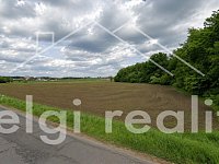 Komerční pozemek 14 000 m² pro výrobu a podnikání | Hrušovany nad Jevišovkou - 9dc5d2af-79a9-45e5-b4df-f9b483bfa1e9.jpg