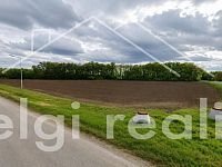Komerční pozemek 14 000 m² pro výrobu a podnikání | Hrušovany nad Jevišovkou - ebc8245d-6c0d-48ca-92e0-19b626a85e68.jpg