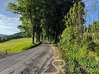 STAVEBNÍ POZEMEK NA OKRAJI KAŠPERSKÝCH HOR S NÁDHERNÝM VÝHLEDEM NA ŠUMAVU - 1747587650915.jpg