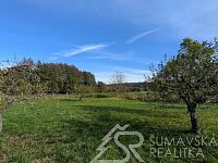 STAVEBNÍ POZEMEK AŽ PRO DVA DOMY – VOJNICE U STRAKONIC - PXL_20251019_111731366.jpg