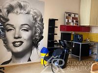 PRONÁJEM NEBYTOVÝCH PROSTOR BLÍZKO CENTRA SUŠICE - IMG_9613.jpg