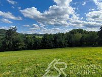 KLIDNÝ STAVEBNÍ POZEMEK  S VÝHLEDEM NA ŠUMAVU 3 KM U SUŠICE- ZÁLUŽÍ - IMG_20250723_170732.jpg