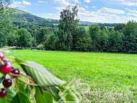 KLIDNÝ STAVEBNÍ POZEMEK  S VÝHLEDEM NA ŠUMAVU 3 KM U SUŠICE- ZÁLUŽÍ - IMG_20250723_170911.jpg