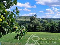 SLUNNÝ STAVEBNÍ POZEMEK S VÝHLEDEM NA ŠUMAVU   3 KM OD SUŠICE - IMG_20250723_170819.jpg