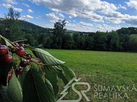 SLUNNÝ STAVEBNÍ POZEMEK S VÝHLEDEM NA ŠUMAVU   3 KM OD SUŠICE - IMG_20250723_170940.jpg