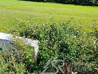 SLUNNÝ STAVEBNÍ POZEMEK S VÝHLEDEM NA ŠUMAVU   3 KM OD SUŠICE - IMG_20250723_171217.jpg