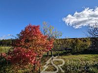 STAVEBNÍ POZEMEK V MALEBNÉ OSADĚ DAMÍČ U SOBĚŠIC V KRÁSNÉ POLOZE POD ŠUVAVSKÝMI VRCHOLY - PXL_20251026_105006233.jpg