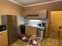 PRONÁJEM BYTU 1+1 V SUŠICI, VOLŠOVSKÁ ULICE - IMG_9652.jpg