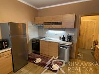 PRONÁJEM BYTU 1+1 V SUŠICI, VOLŠOVSKÁ ULICE - IMG_9653.jpg