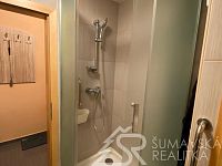 PRONÁJEM BYTU 1+1 V SUŠICI, VOLŠOVSKÁ ULICE - IMG_9658.jpg