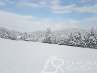 STAVEBNÍ POZEMEK S VÝHLEDEM NA ŠUMAVU O VÝMĚŘE 2272 m2, ZALUŽÍ U SUŠICE - IA 1.jpg